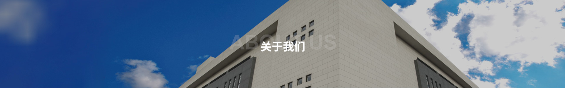 公司簡介